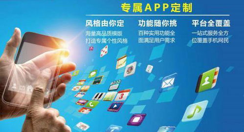 安徽app開發 如何衡量app軟件定制開發的質量 好牛軟件