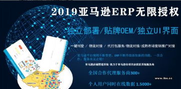 亞馬遜無貨源店群erp系統貼牌定制獨立部署服務器等