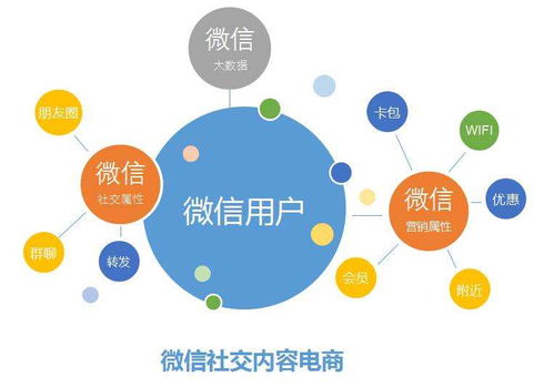 學校教育管理信息系統開發