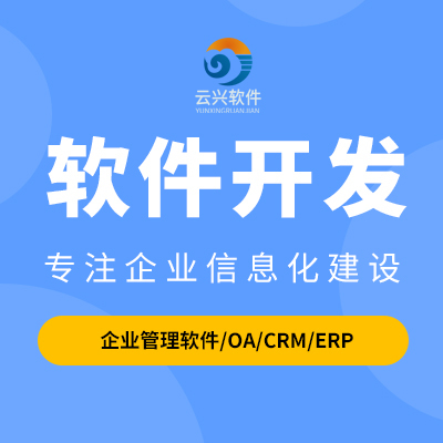 企業(yè)管理軟件開發(fā)