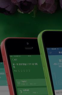 鼎維 智慧教育軟件定制及系統(tǒng)開發(fā)公司