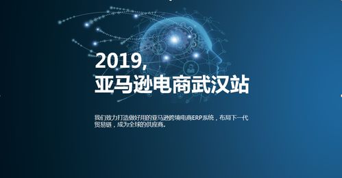 跨境電商老玩家教你玩轉亞馬遜erp鋪貨項目